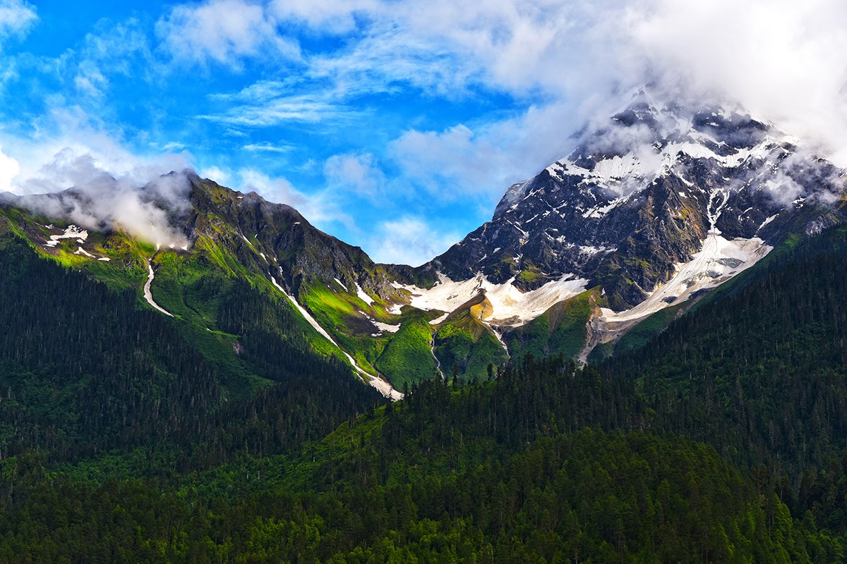 Landscape Bome